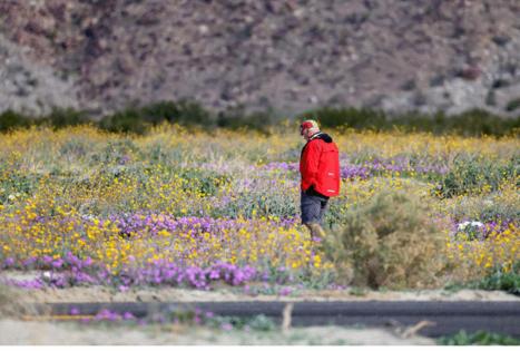 Raul Roa/Los Angeles Times/TNS