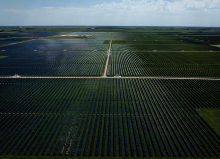 E.Jason Wambsgans/Chicago Tribune/TNS