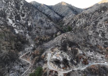 Mario Tama/Getty Images North America/TNS