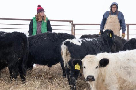 Jerry Holt/Star Tribune/TNS