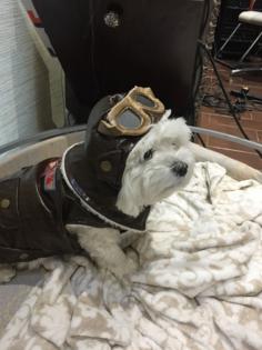 MARIA SANTOS/JERRY ZEZIMA/TNS