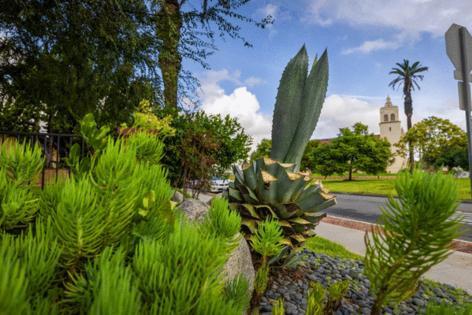 Allen J. Schaben/Los Angeles Times/TNS