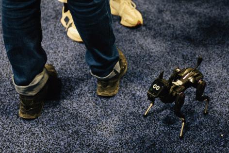 Madeline Carter/Las Vegas Review-Journal/TNS