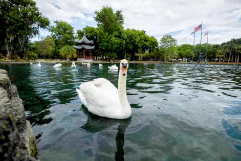 Ricardo Ramirez Buxeda/Orlando Sentinel/TNS