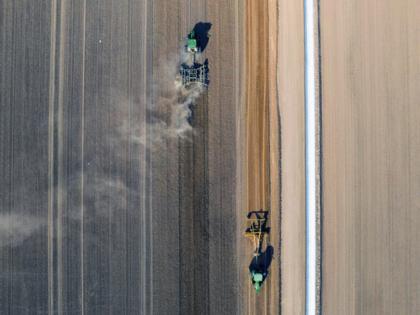 Kayla Bartkowski/Los Angeles Times/TNS