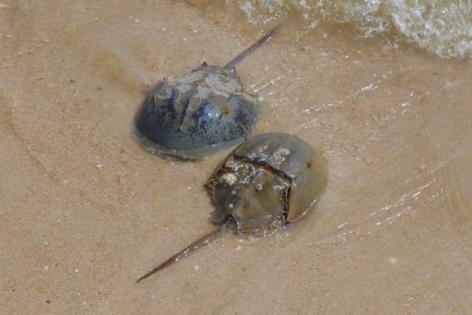 Dreamstime/Dreamstime/TNS