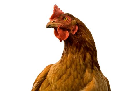 Dreamstime/Dreamstime/TNS