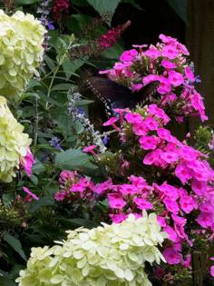 Norman Winter/Norman Winter/TNS