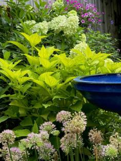 Norman Winter/Norman Winter/TNS