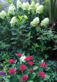 Norman Winter/Norman Winter/TNS