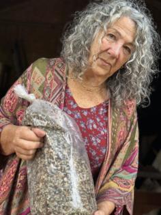 David Montgomery/Stateline/TNS