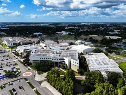 Dirk Shadd/Tampa Bay Times/TNS