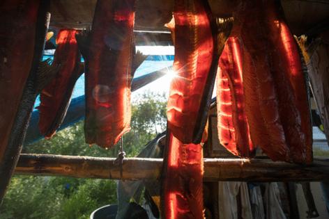 Loren Holmes/Anchorage Daily News/TNS