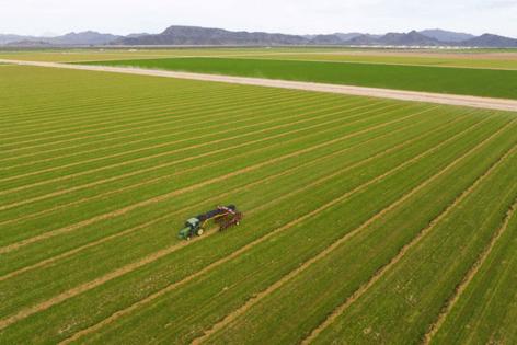 Kayla Bartkowski/Los Angeles Times/TNS