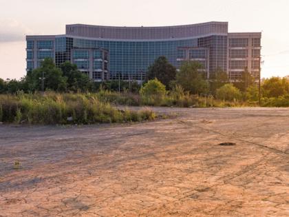 Dean Neitman/Dreamstime/TNS