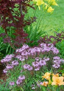 Norman Winter/Norman Winter/TNS