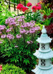 Norman Winter/Noman Winter/TNS