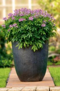 Norman Winter/Norman Winter/TNS