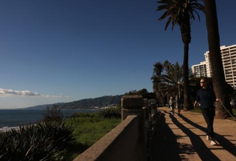 Christina House/Los Angeles Times/TNS