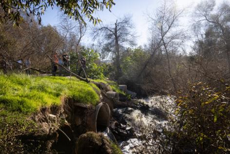 Ana Ramirez/The San Diego Union-Tribune/TNS