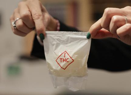 Douglas R. Clifford/Tampa Bay Times/TNS