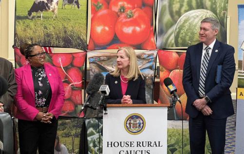 Mennatalla Ibrahim/Baltimore Sun/TNS