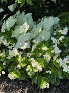 Norman Winter/Norman Winter/TNS