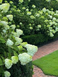 Norman Winter/Norman Winter/TNS