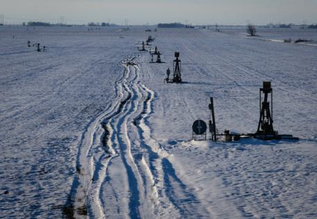 E. Jason Wambsgans/Chicago Tribune/TNS