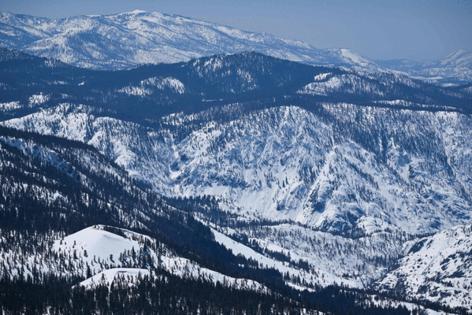 Patrick T. Fallon/AFP/Getty Images North America/TNS
