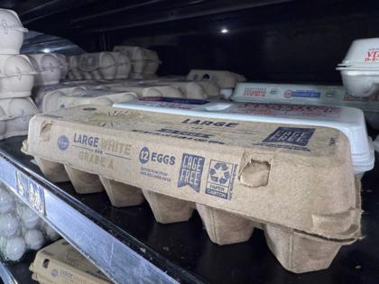 Kevin Hardy/The Detroit News/TNS