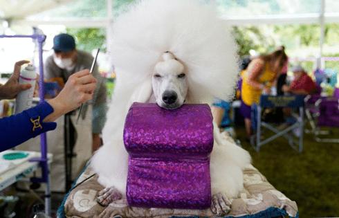 Timothy A. Clary/AFP/Getty Images North America/TNS