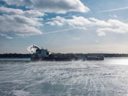 Andy Morrison/The Detroit News/TNS