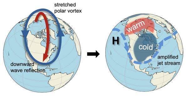 A stretched stratospheric polar vortex reflects upward waves back down, left, which affects the jet stream and surface weather, right.
Mathew Barlow and Judah Cohen, CC BY