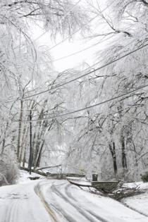 Brett Carlsen/Getty Images North America/TNS