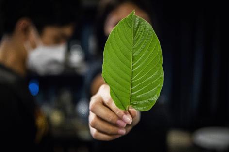 Lauren DeCicca/GETTY IMAGES NORTH AMERICA/TNS