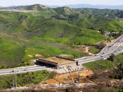 Myung J. Chun/Los Angeles Times/TNS