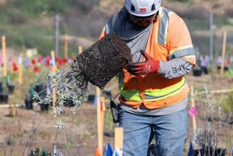 Myung J. Chun/Los Angeles Times/TNS