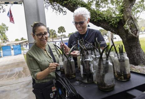 Photo by Matias J. Ocner/Miami Herald/TNS