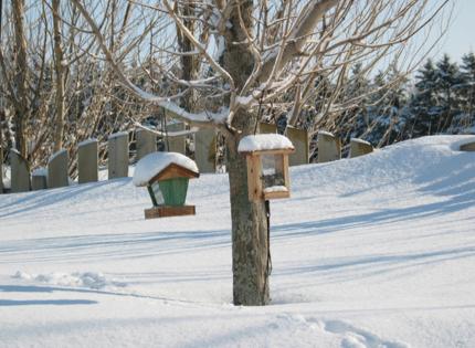 Onepony/Dreamstime/TNS