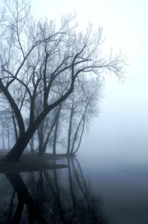 Dreamstime/Dreamstime/TNS