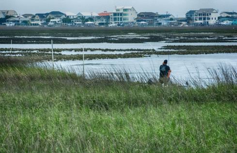 Ruth H. Curtis/Dreamstime.com/TNS