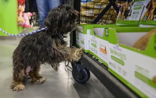 John Autey/Pioneer Press/TNS