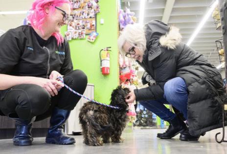 John Autey/Pioneer Press/TNS