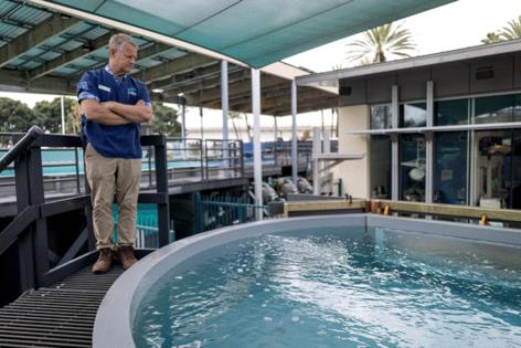 Eric Thayer/Los Angeles Times/TNS