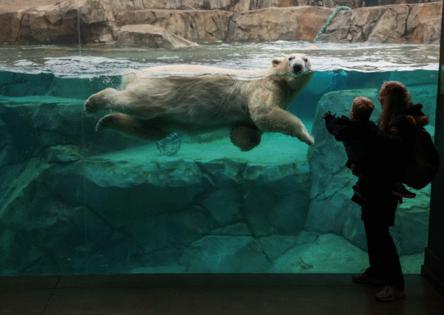 Stacey Wescott/Chicago Tribune/TNS