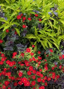 Norman Winter/Norman Winter/TNS