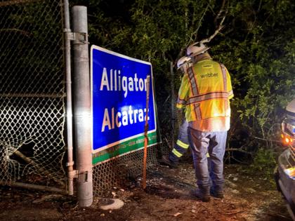 Pedro Portal/Miami Herald/TNS