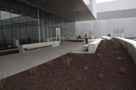 Stacey Wescott/Chicago Tribune/TNS