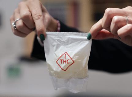 Douglas R. Clifford/Tampa Bay Times/TNS